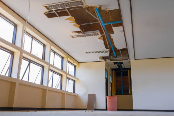 Best Flood restoration services  in Gra Forks, ND