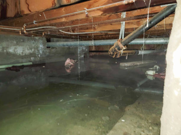 Best Water damage restoration cost  in Gra Forks, ND