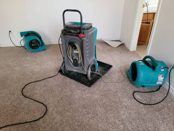 Best Fire Damage Restoration  in Gra Forks, ND