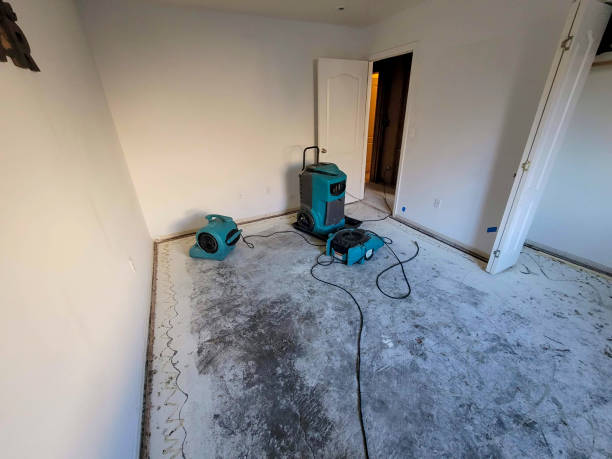 Best Basement water damage restoration  in Gra Forks, ND