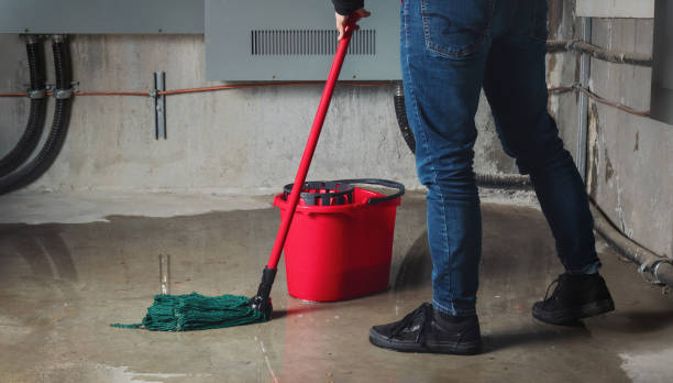 Best Mold removal after water damage  in Gra Forks, ND