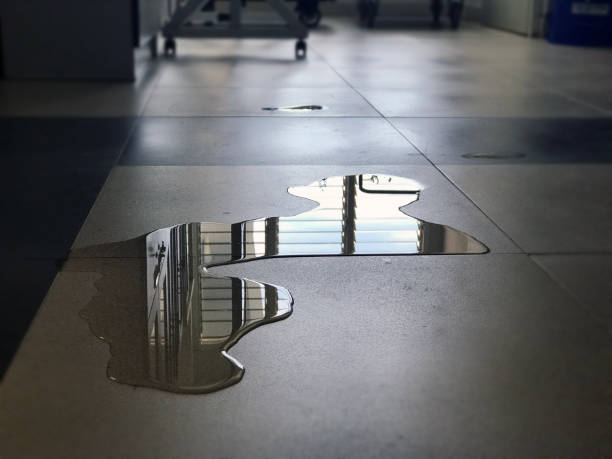 Best Water damage cleanup near me  in Gra Forks, ND