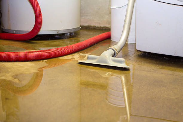 Best Ceiling water damage repair  in Gra Forks, ND