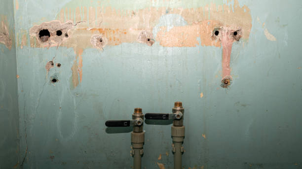 Best Emergency water damage restoration  in Gra Forks, ND