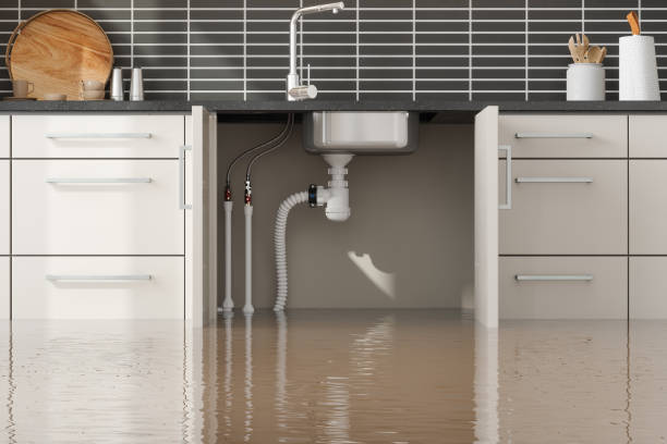 Best Basement water damage restoration  in Gra Forks, ND