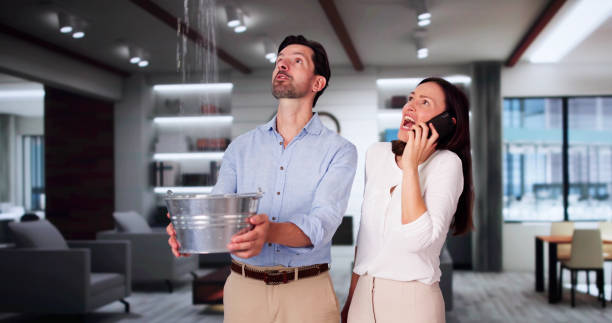 Best Water damage contractors near me  in Gra Forks, ND