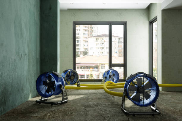 Best Water damage restoration near me  in Gra Forks, ND