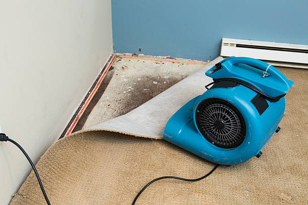 Best Commercial water damage restoration  in Gra Forks, ND